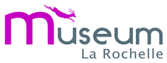 Muséum d'histoire naturelle — La Rochelle